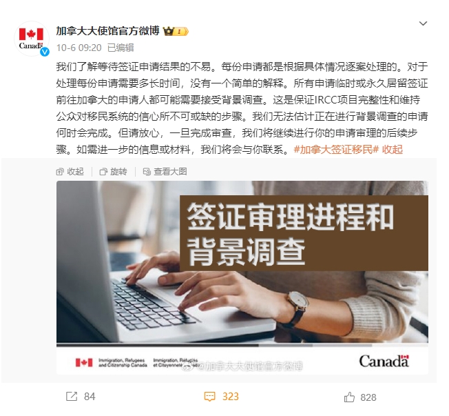 加拿大签证背调.png